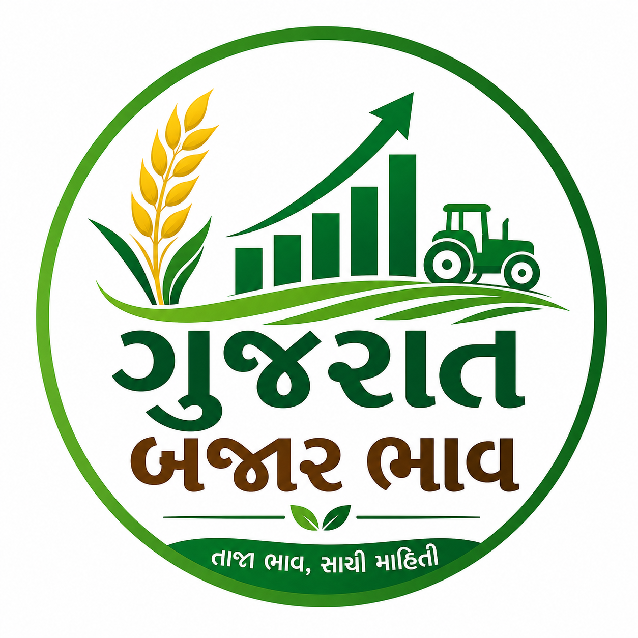 ગુજરાત બજાર ભાવ