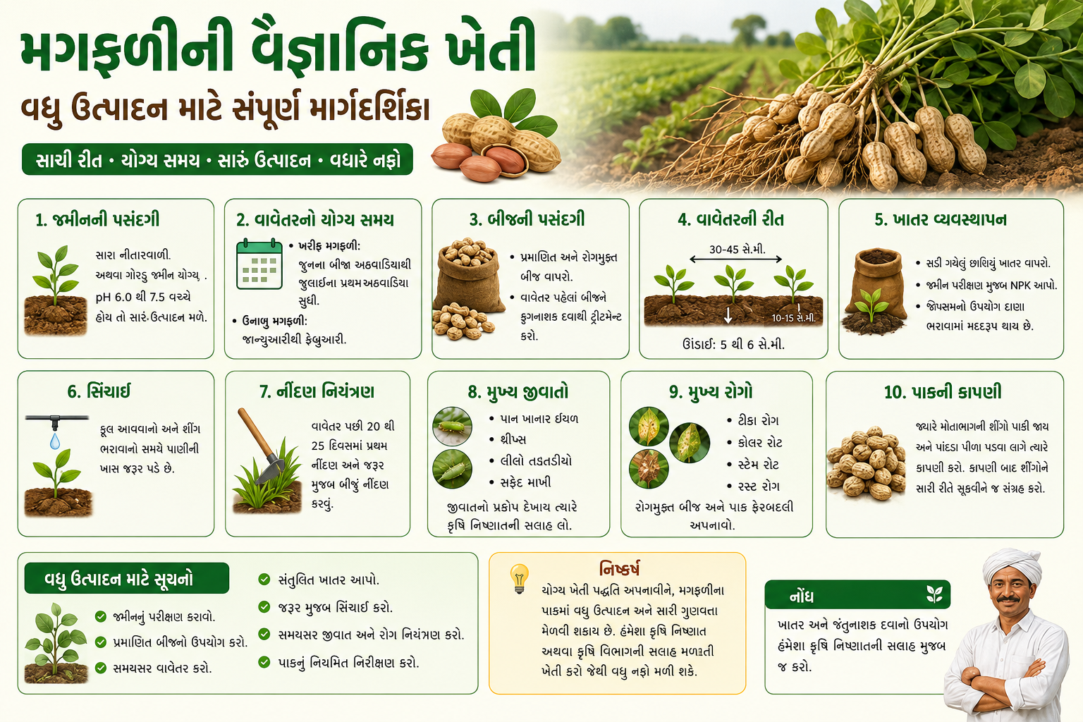 મગફળીની વૈજ્ઞાનિક ખેતી: વધુ ઉત્પાદન માટે સંપૂર્ણ માર્ગદર્શિકા